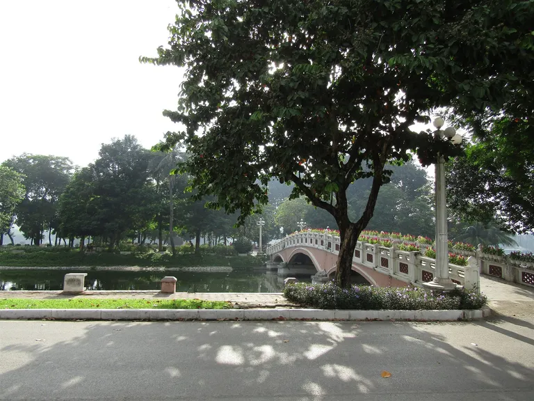 Hàng cây và cây cầu nhỏ bên hồ trong công viên Thống Nhất, Hà Nội.